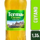 Amargo-Cuyano-Terma-1-350-lt-1-5252