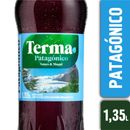Amargo-Patagonico-Terma-1-350-lt-1-4537