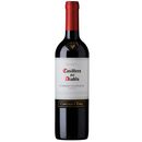 Vino-Cabernet-Sauvignon-Casillero-del-Diablo-750-cc-1-10750