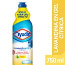 Lavandina-en-Gel-Citrus-Ayudin-750-ml-1-5040