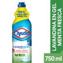 Lavandina-en-Gel-Menta-Ayudin-750-cc-1-13210