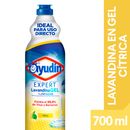 Lavandina-en-Gel-Expert-Citrus-Ayudin-700-ml-1-5040