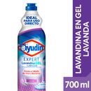 Lavandina-en-Gel-Expert-Lavanda-Ayudin-700-cc-1-13209