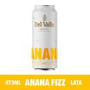 Anana-Fizz-Del-Valle-lata-473-ml-1-14034